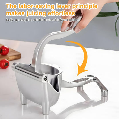 ⚡Stainless Steel Juicer